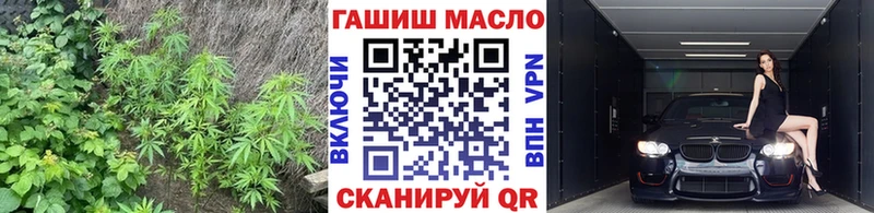 ТГК гашишное масло  Купить закладки  Новокубанск 