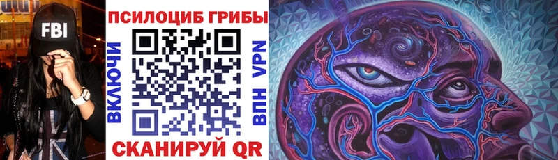 Галлюциногенные грибы GOLDEN TEACHER  Купить где  Новокубанск 